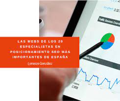 experto en posicionamiento web