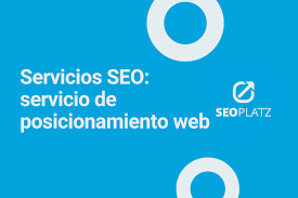 servicio de seo