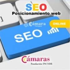 servicio posicionamiento web