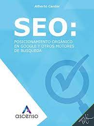 seo organico google