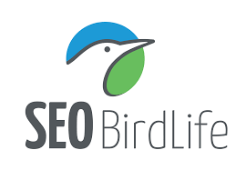 seo bird