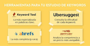 estudio seo
