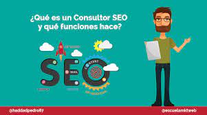 consultor seo profesional