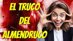 seo local google my business